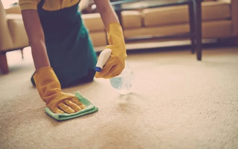 Carpet & Rug Cleaning — illustrative photograph